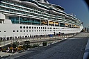 DSC_2275.jpg