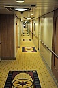 DSC_1664.jpg
