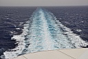 DSC_1988.jpg