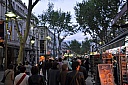 DSC_0801.jpg