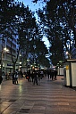 DSC_0803.jpg