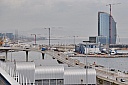 DSC_0917.jpg