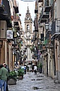 DSC_1005.jpg