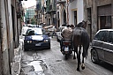 DSC_1028.jpg