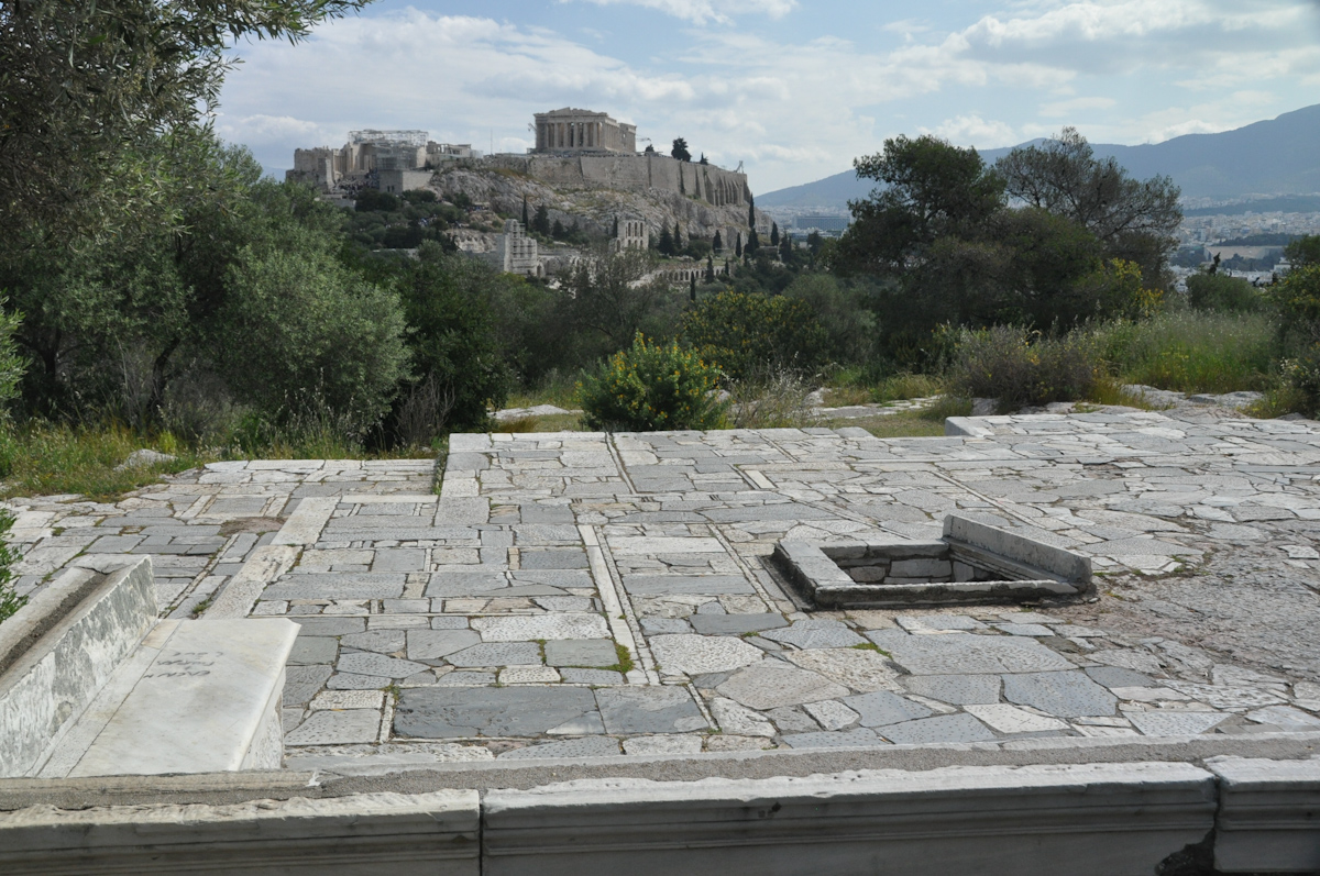 DSC_1237.jpg