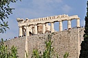 DSC_1224.jpg