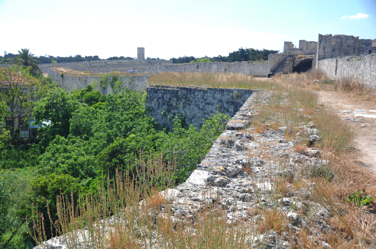 DSC_1458.jpg
