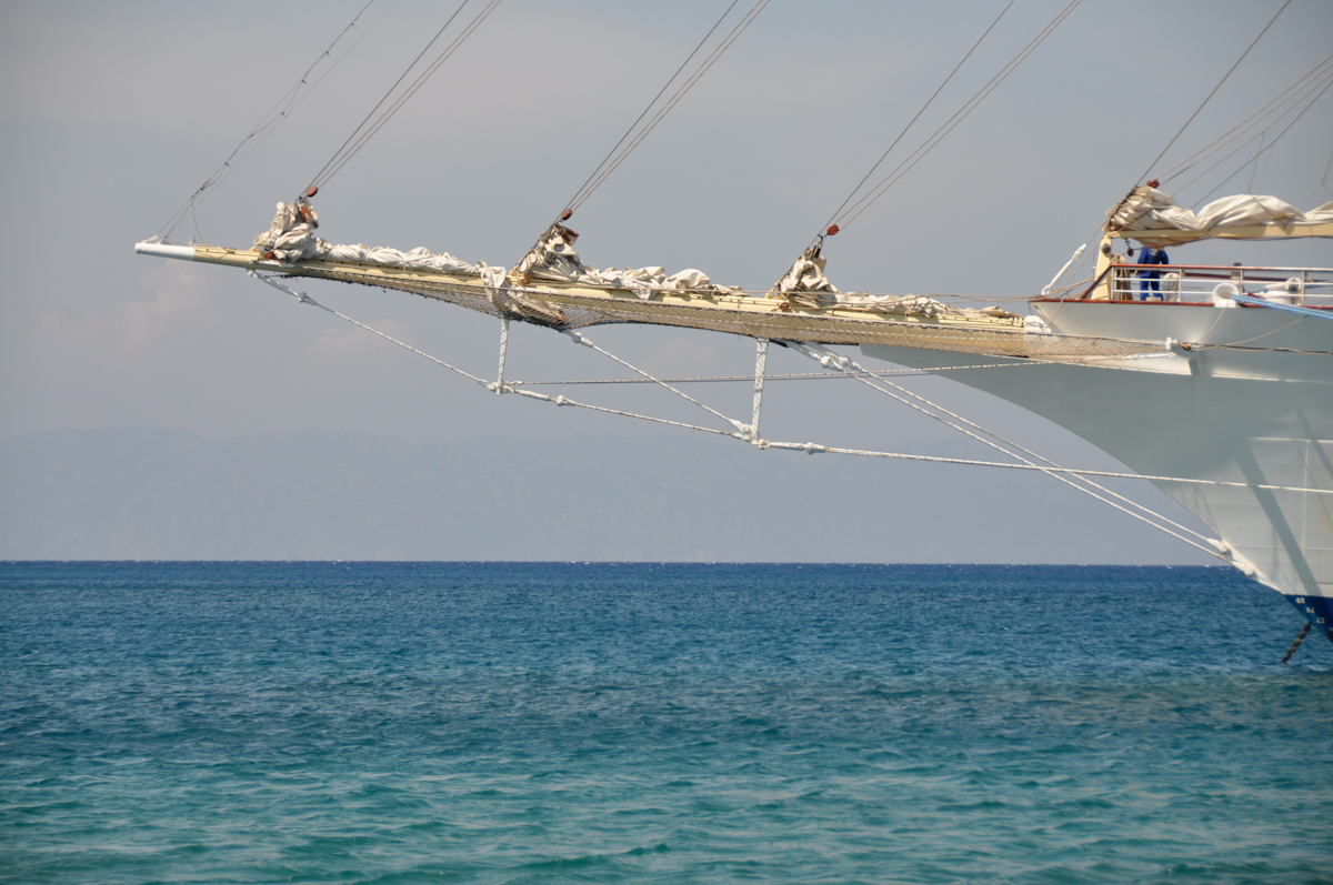 DSC_1510.jpg
