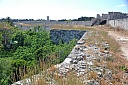 DSC_1458.jpg