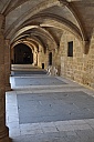DSC_1475.jpg