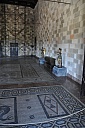 DSC_1477.jpg