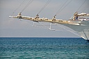 DSC_1510.jpg