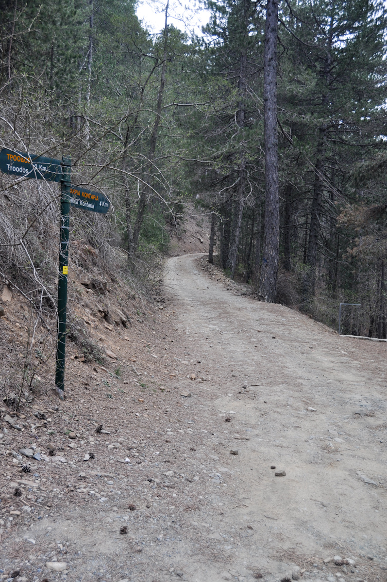 DSC_1552.jpg