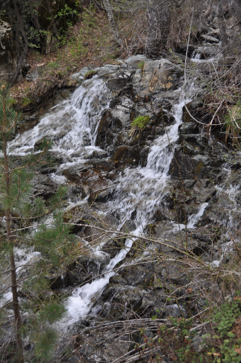 DSC_1571.jpg