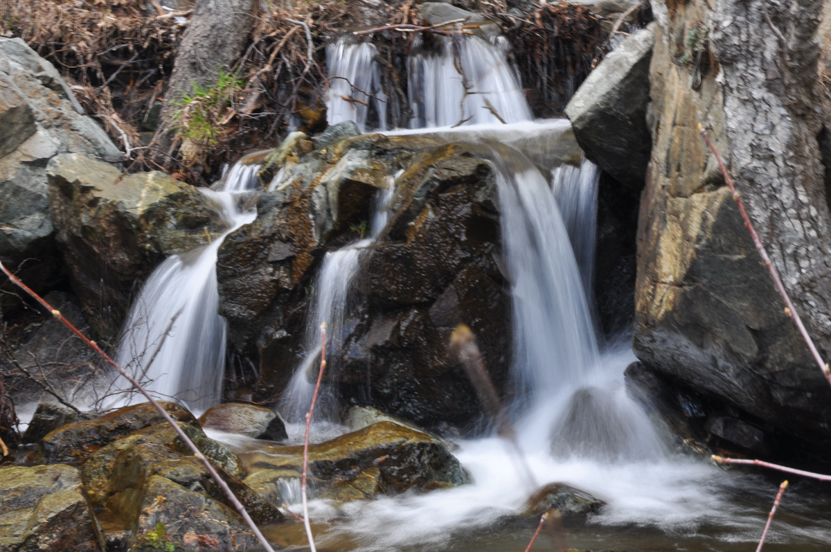 DSC_1575.jpg