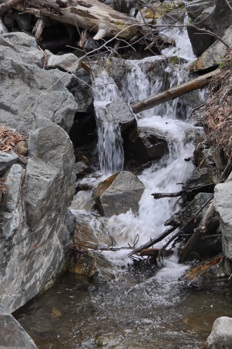 DSC_1582.jpg