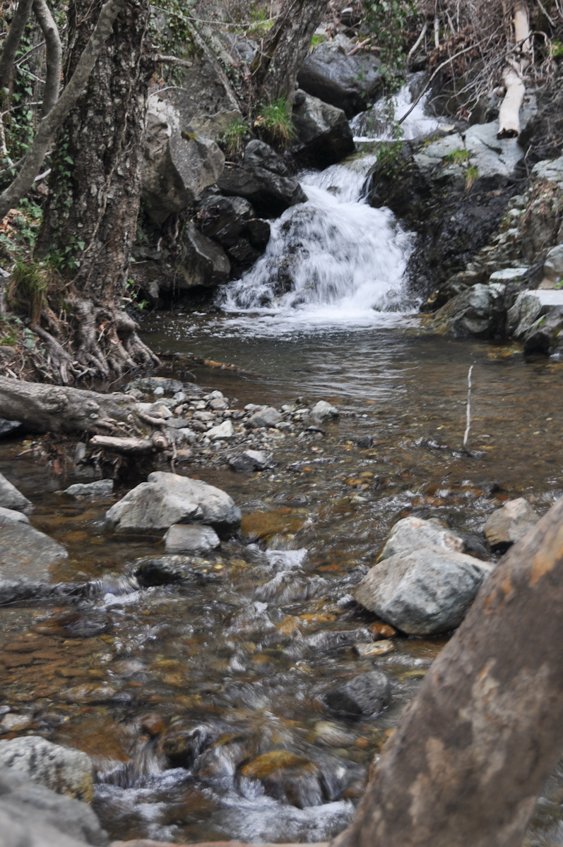 DSC_1597.jpg
