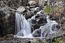 DSC_1570.jpg