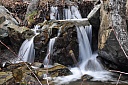 DSC_1575.jpg
