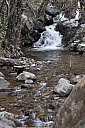 DSC_1597.jpg