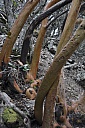 DSC_1605.jpg