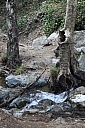DSC_1608.jpg