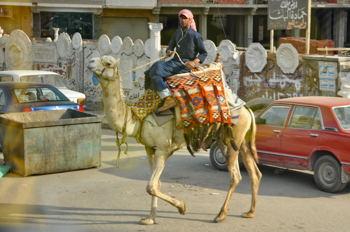 DSC_1983.jpg