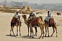 DSC_1785.jpg