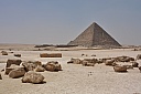 DSC_1804.jpg