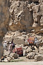 DSC_1808.jpg