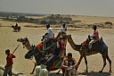 DSC_1820.jpg