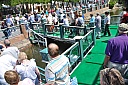 DSC_1917.jpg