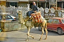 DSC_1983.jpg